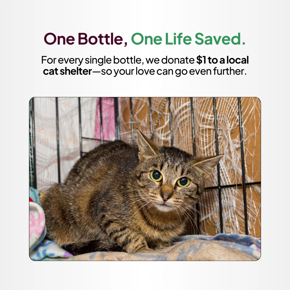 For every single bottle, we donate $1.