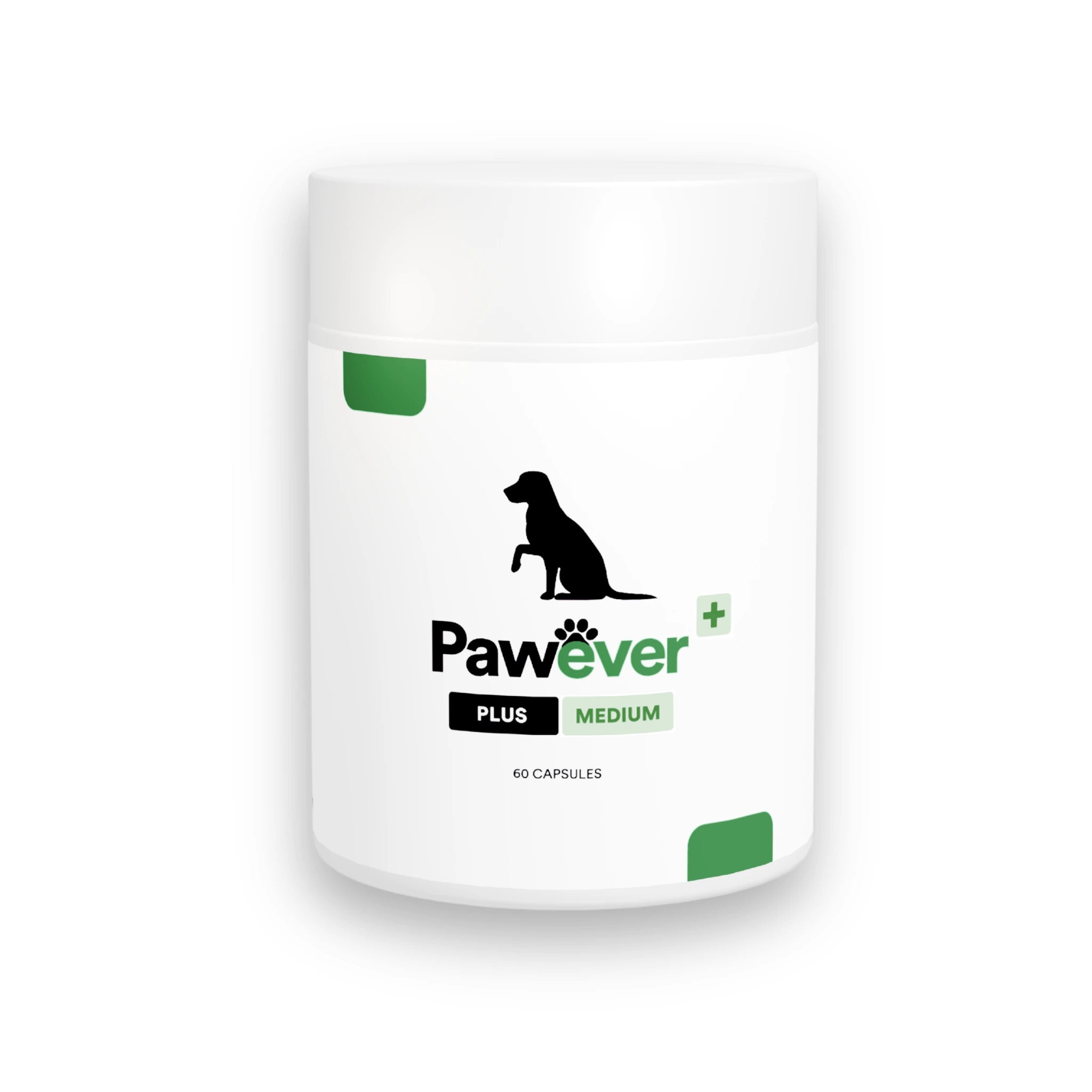 Pawever Plus for Dogs