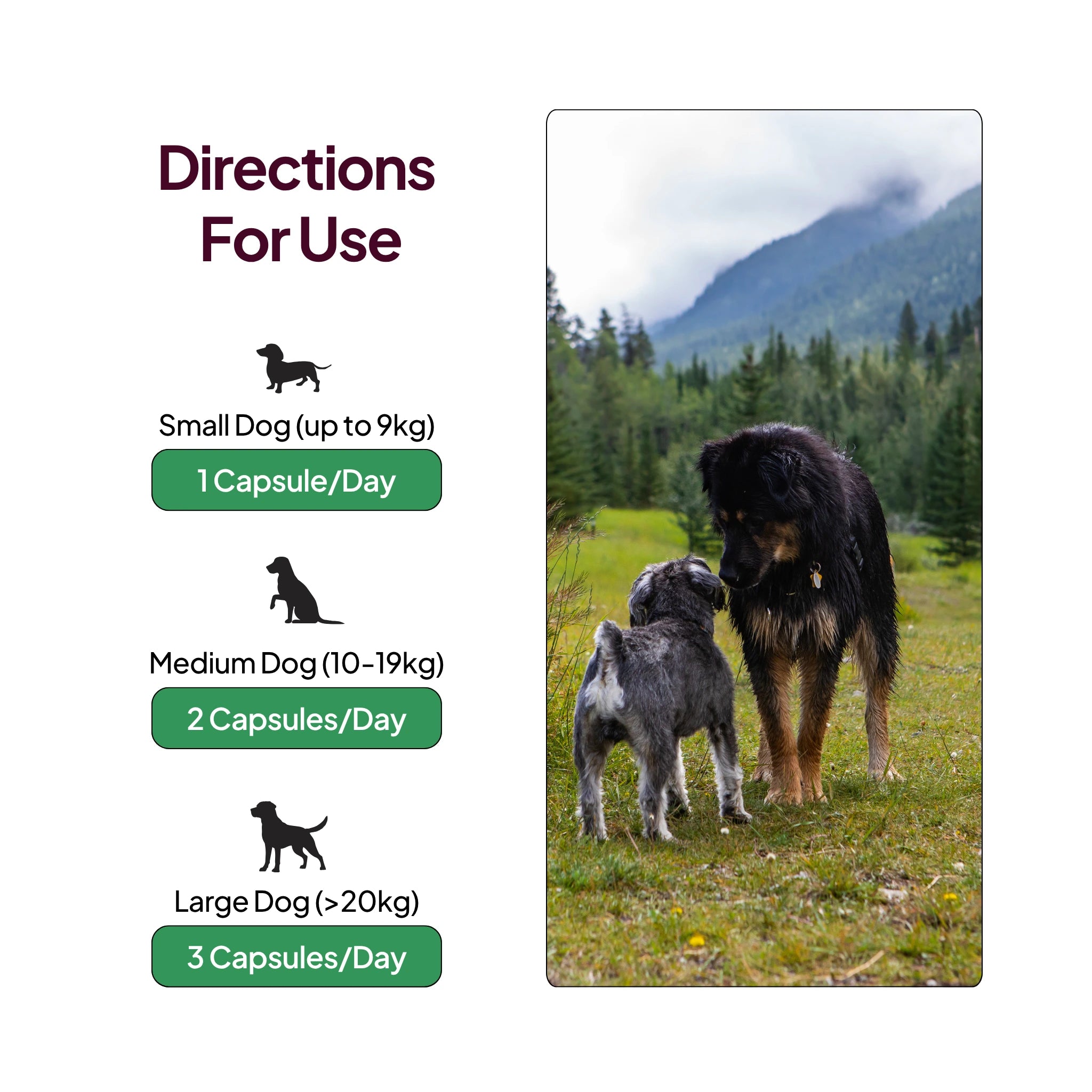 Pawever Plus for Dogs