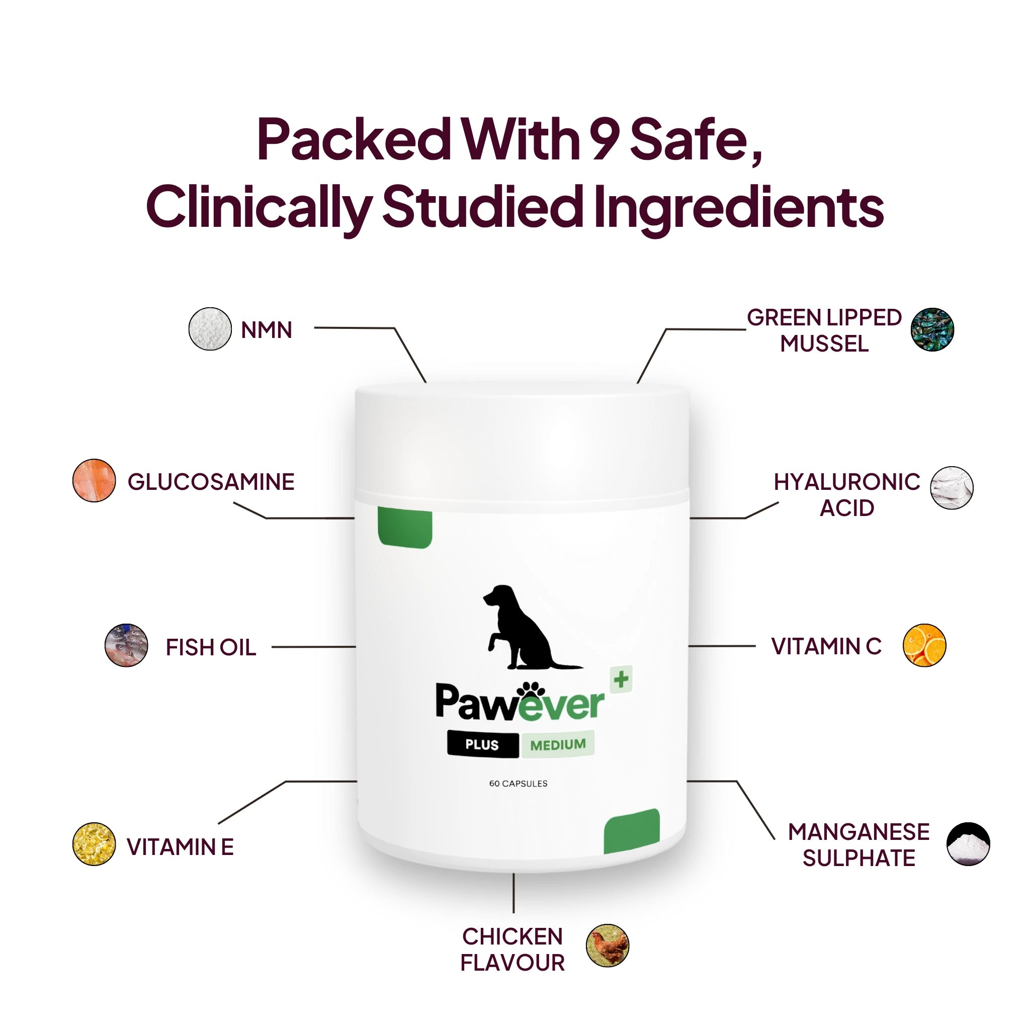 Pawever Plus for Dogs