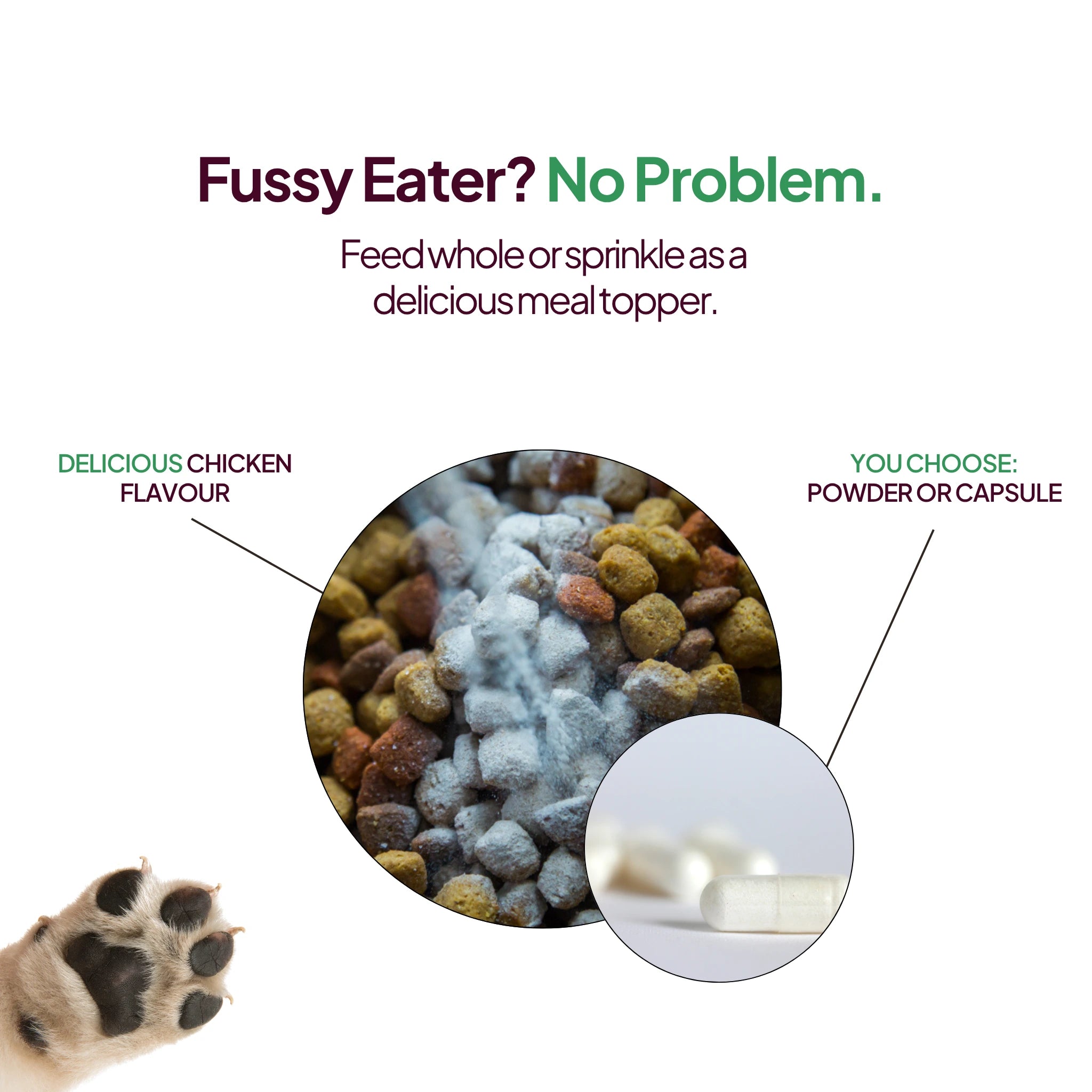 Pawever Plus for Dogs