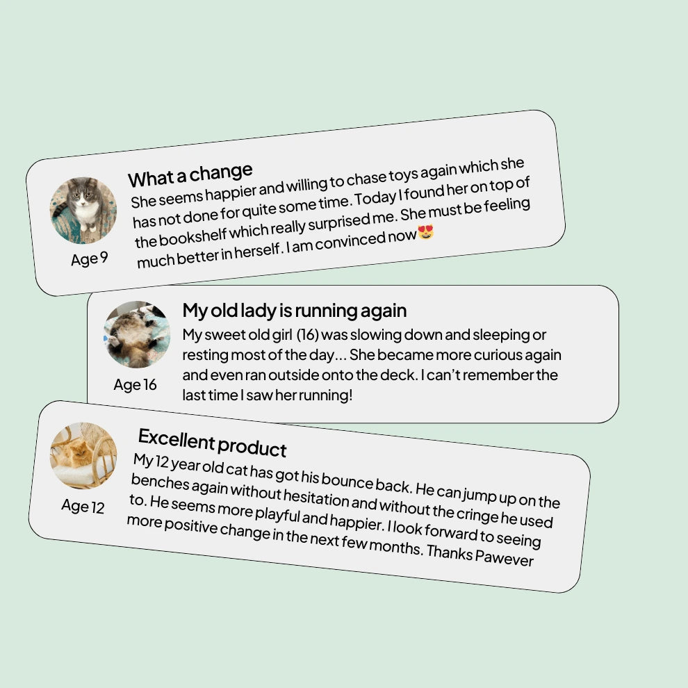 Pawever Plus For Cats Real Reviews