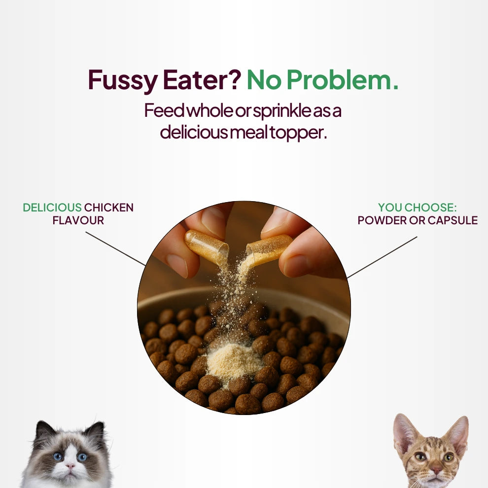 Fussy eater? No problem.