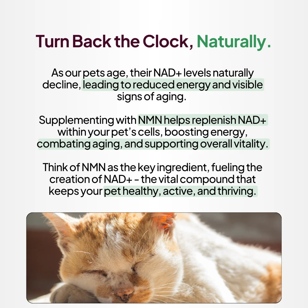 Turn back the clock naturally