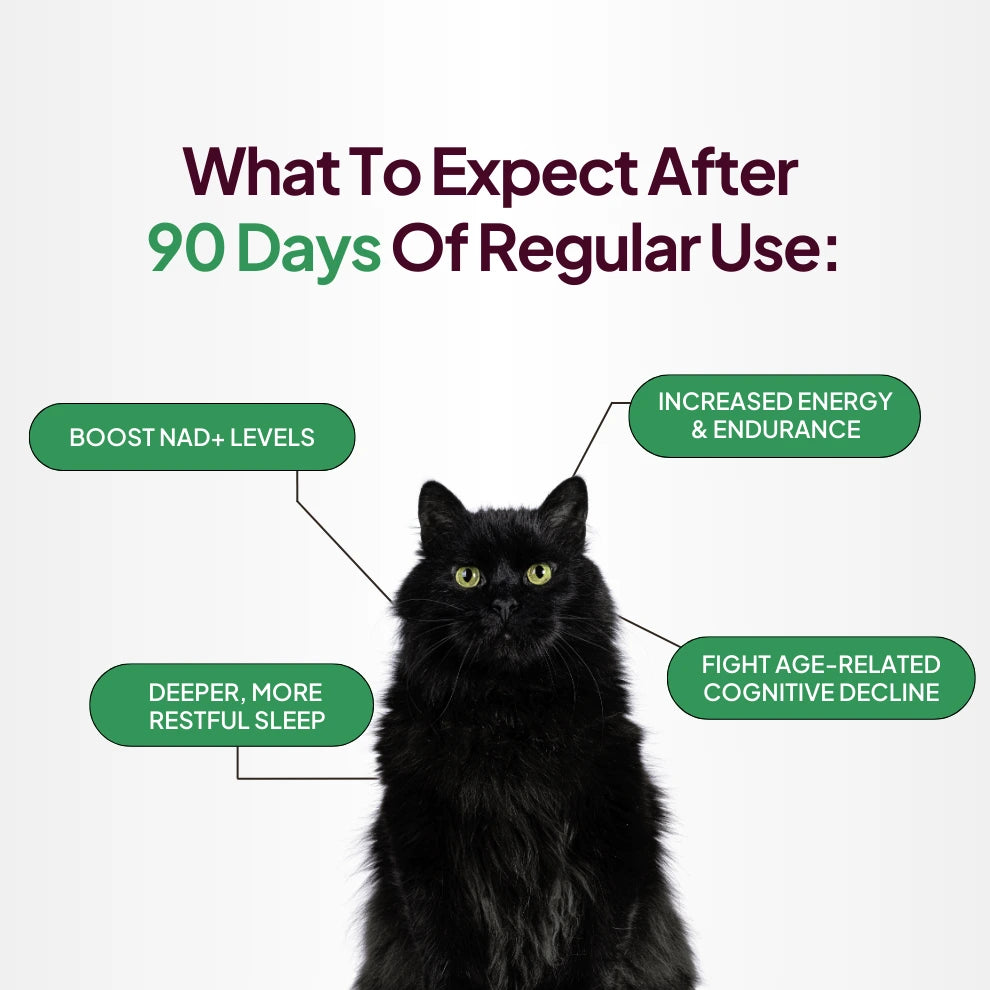 What to expect after 90 days