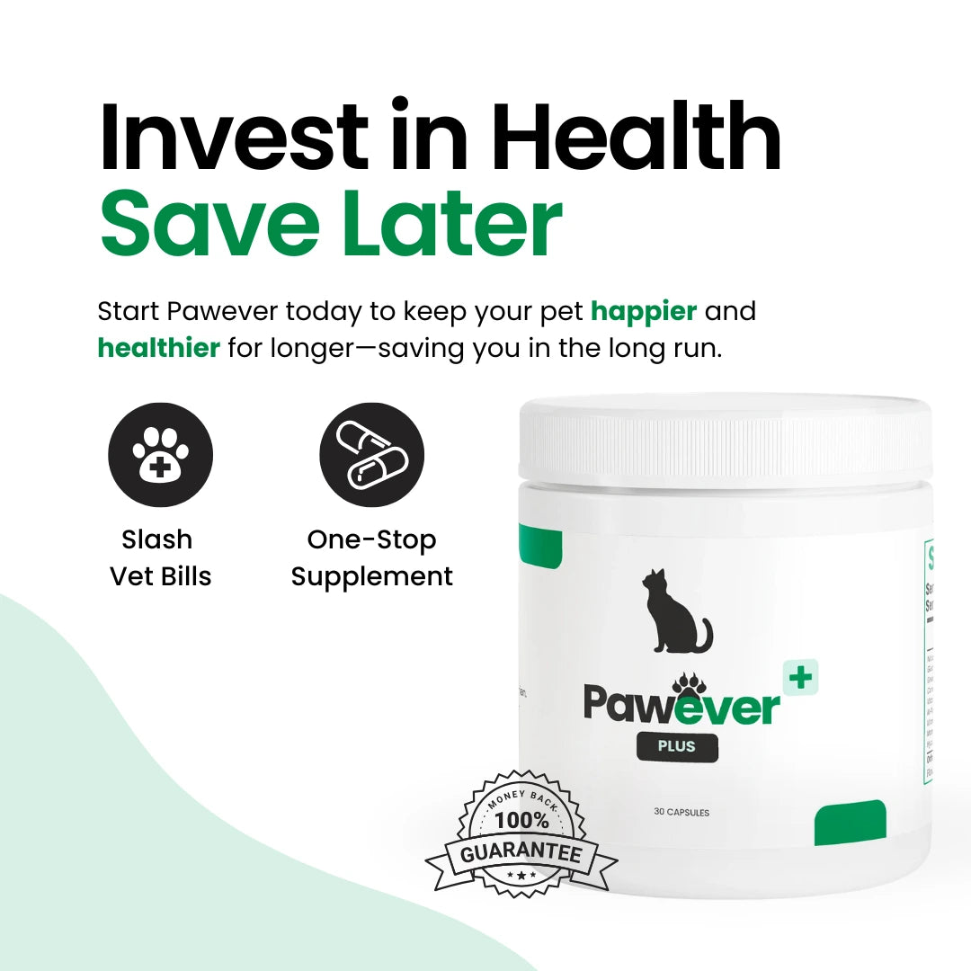 Pawever Plus for Cats