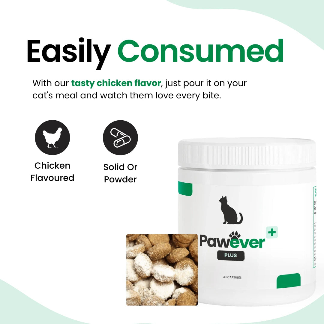 Pawever Plus for Cats