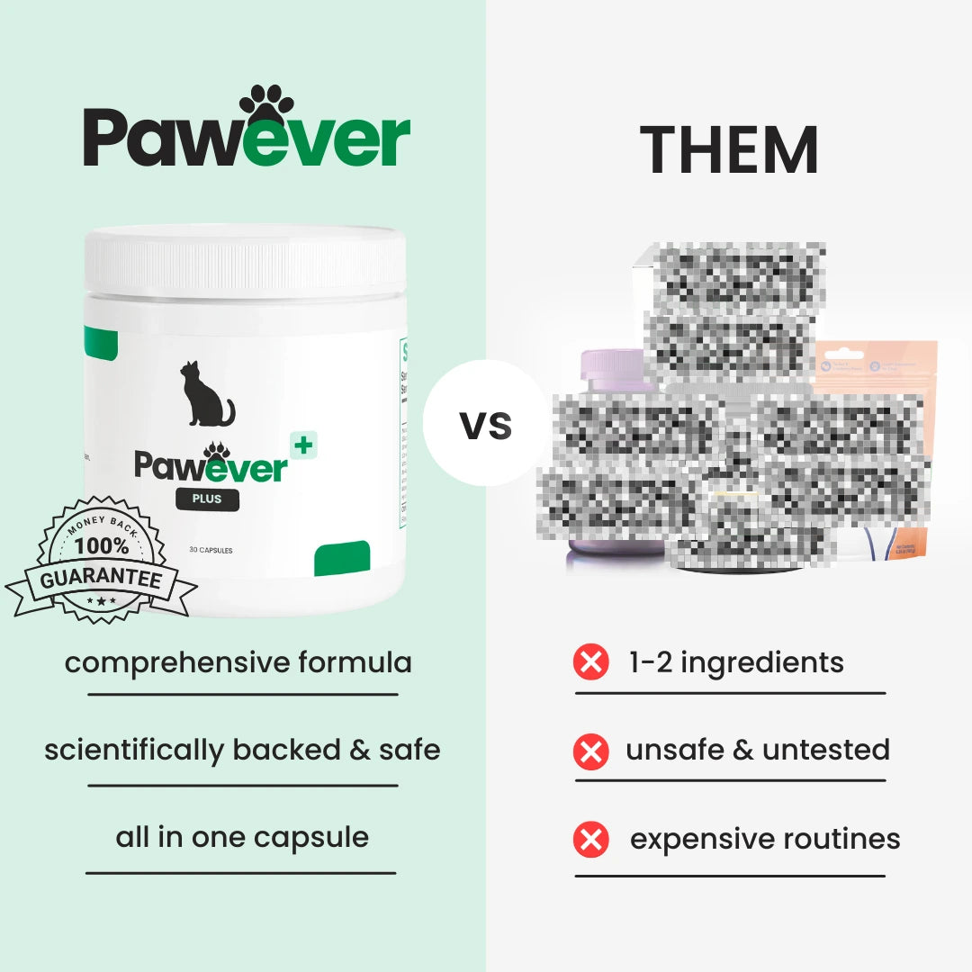 Pawever Plus for Cats