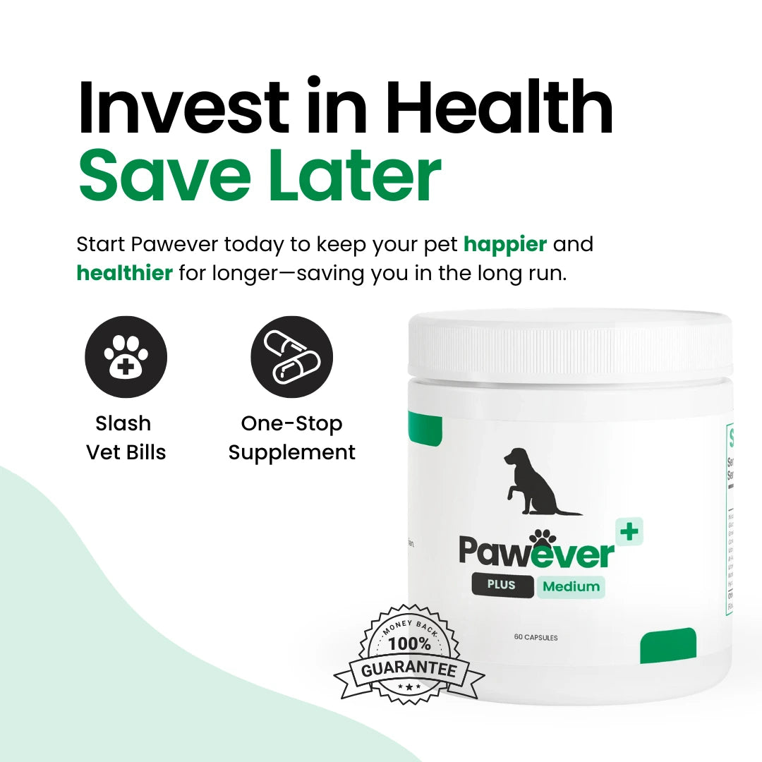 Pawever Plus for Dogs