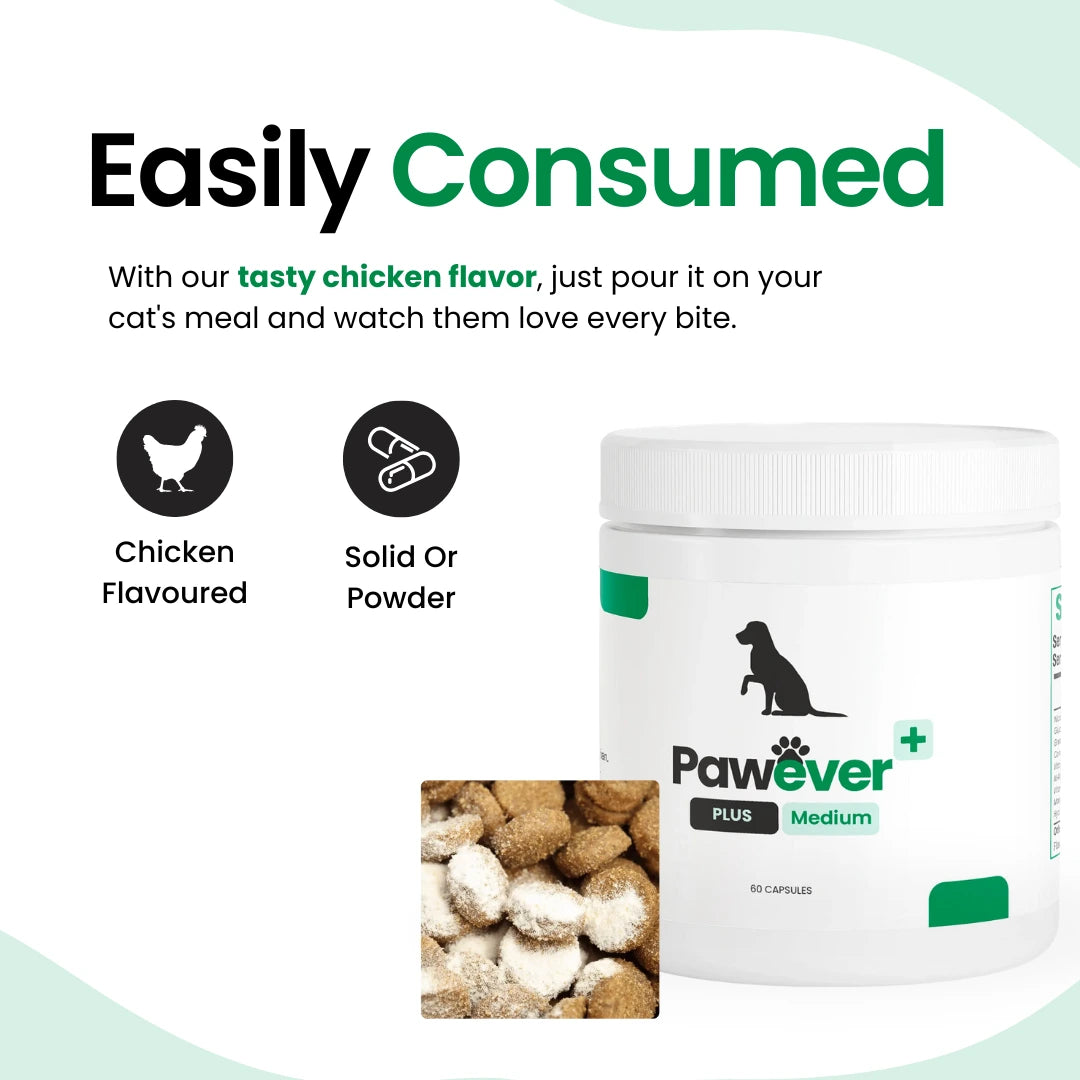 Pawever Plus for Dogs