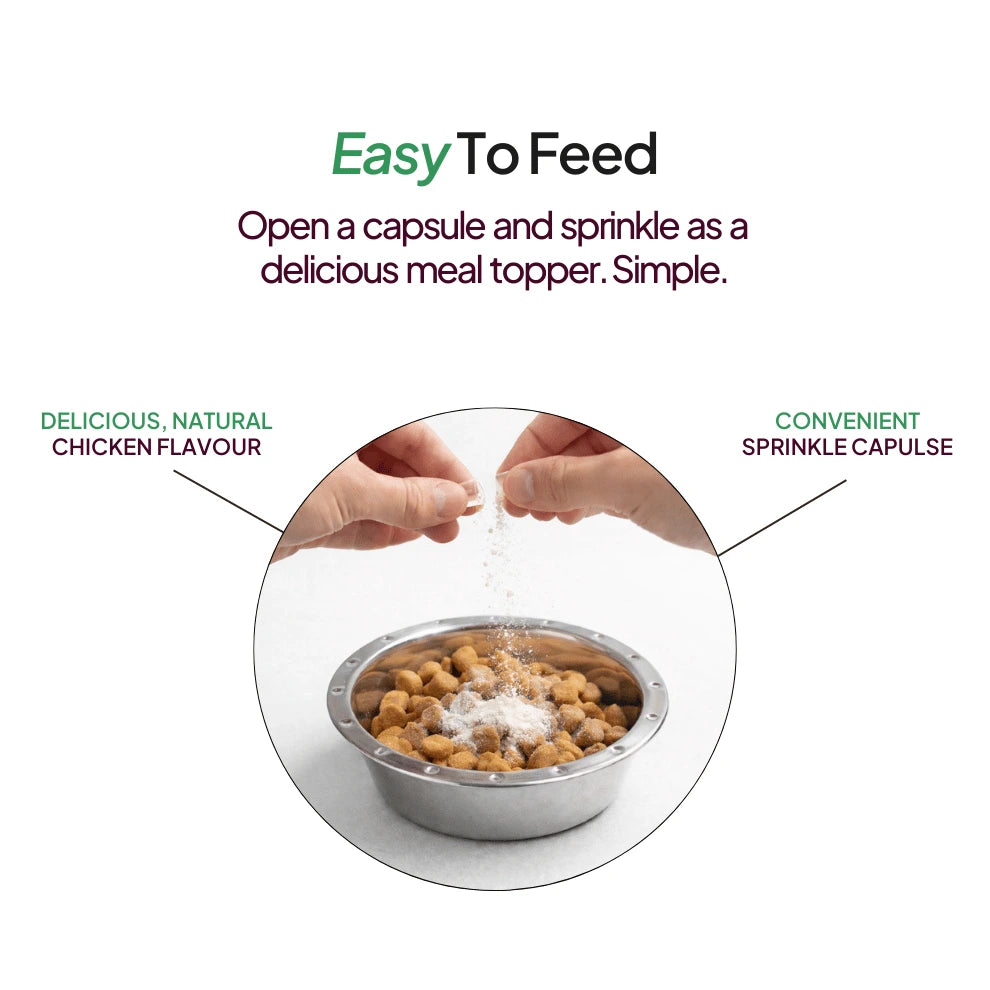 How To Feed Pawever Plus For Cats