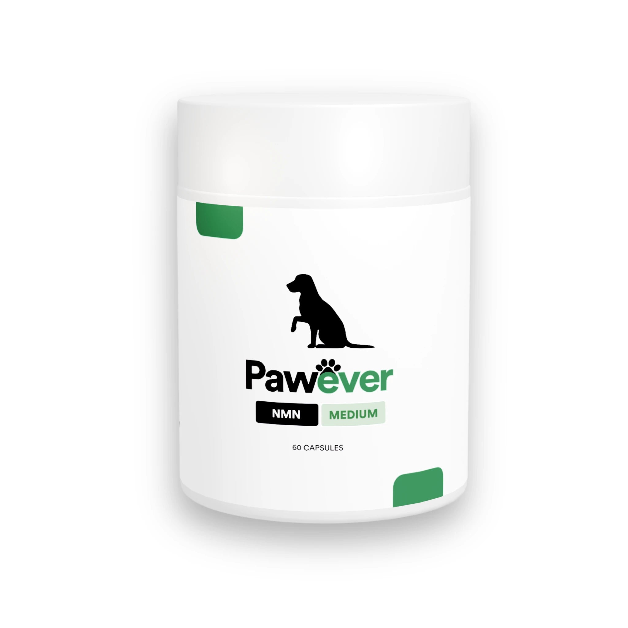 NMN for Dogs