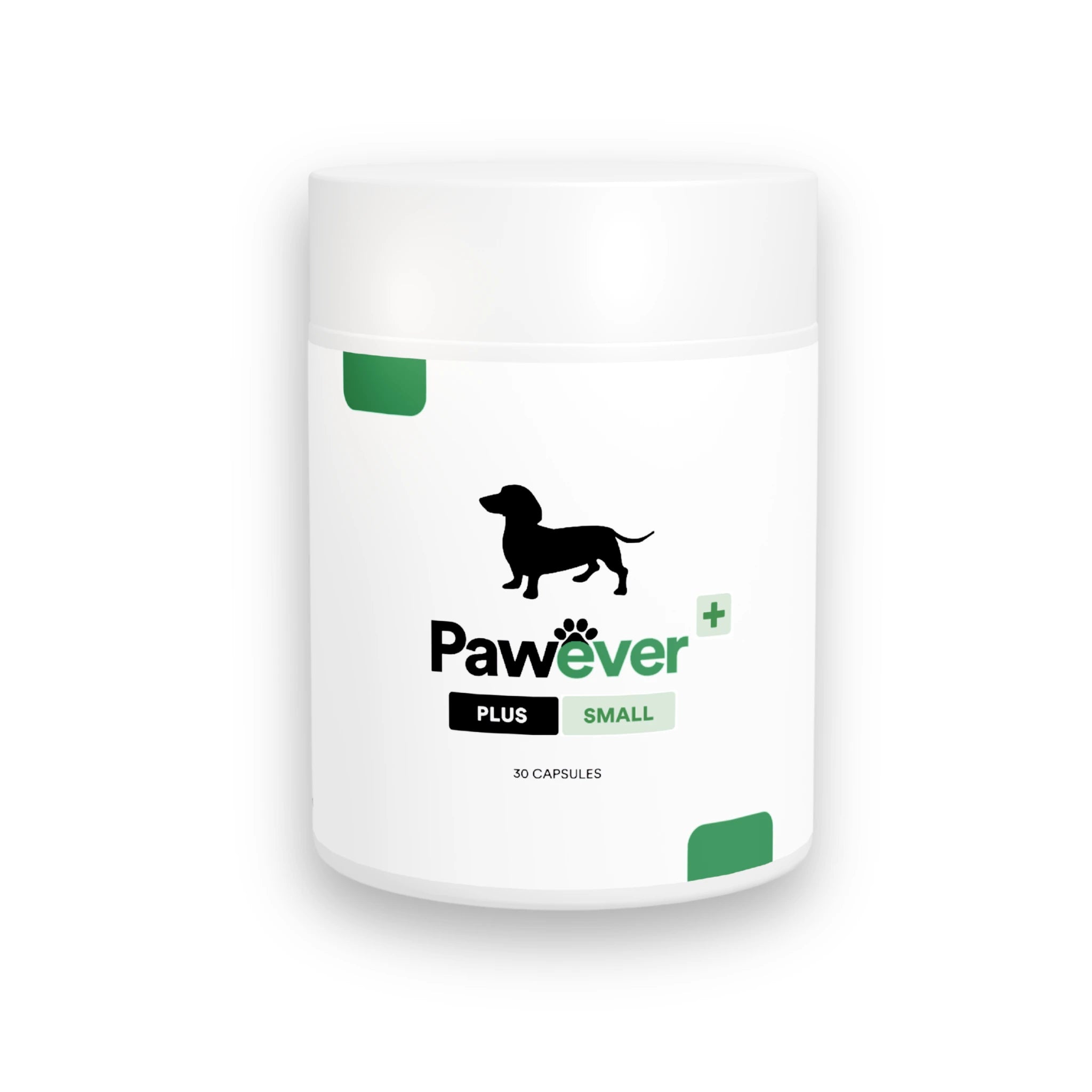 Pawever Plus for Dogs