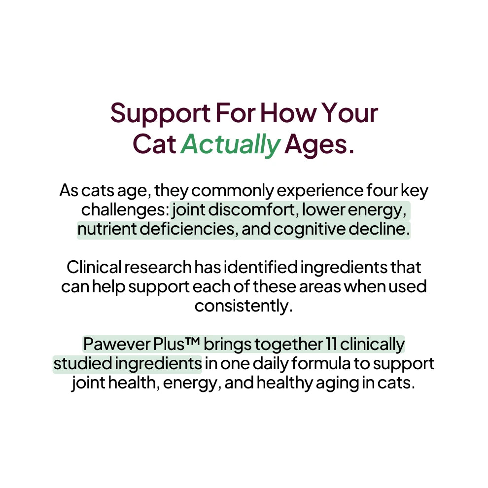 Support For How Your Cat Actually Ages